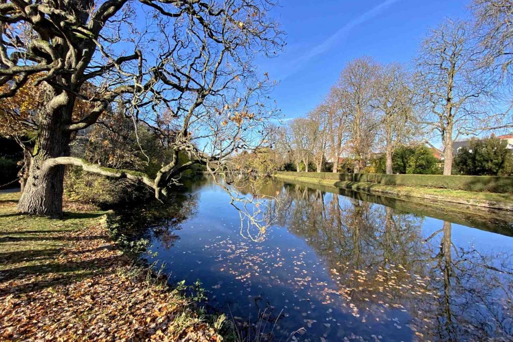 Bückeburg Schloss Schlosspark