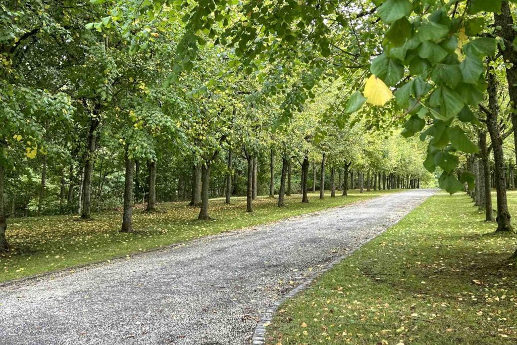 Calden Schloss Wilhelmsthal Schlosspark