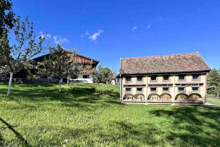 Glentleiten Bienenhaus Hohenpeißenberg