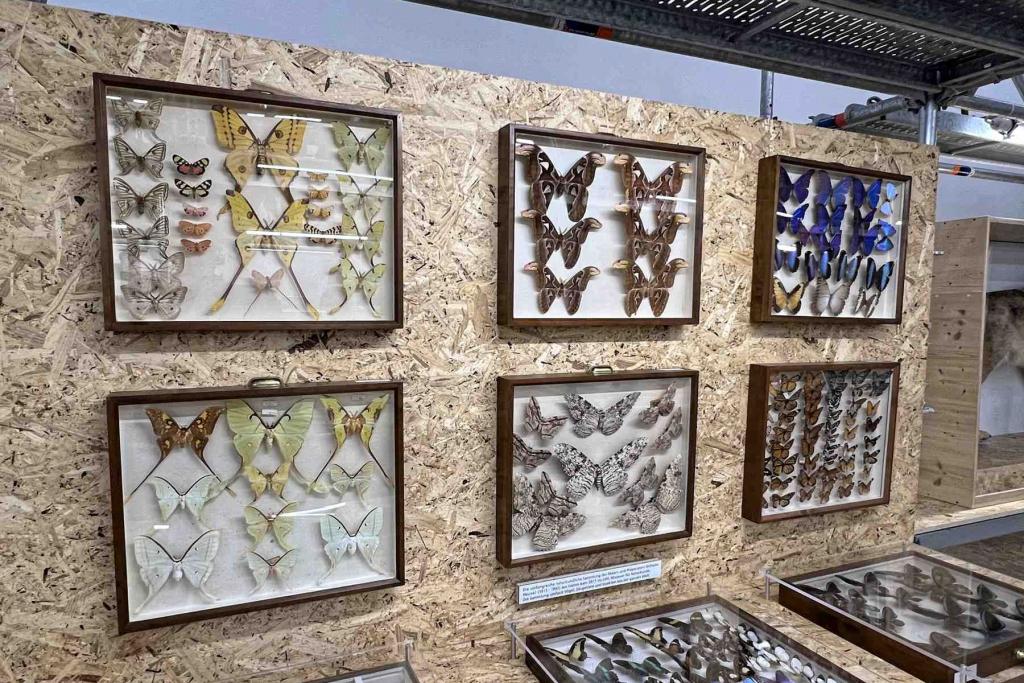 Münster LWL Naturkundemuseum