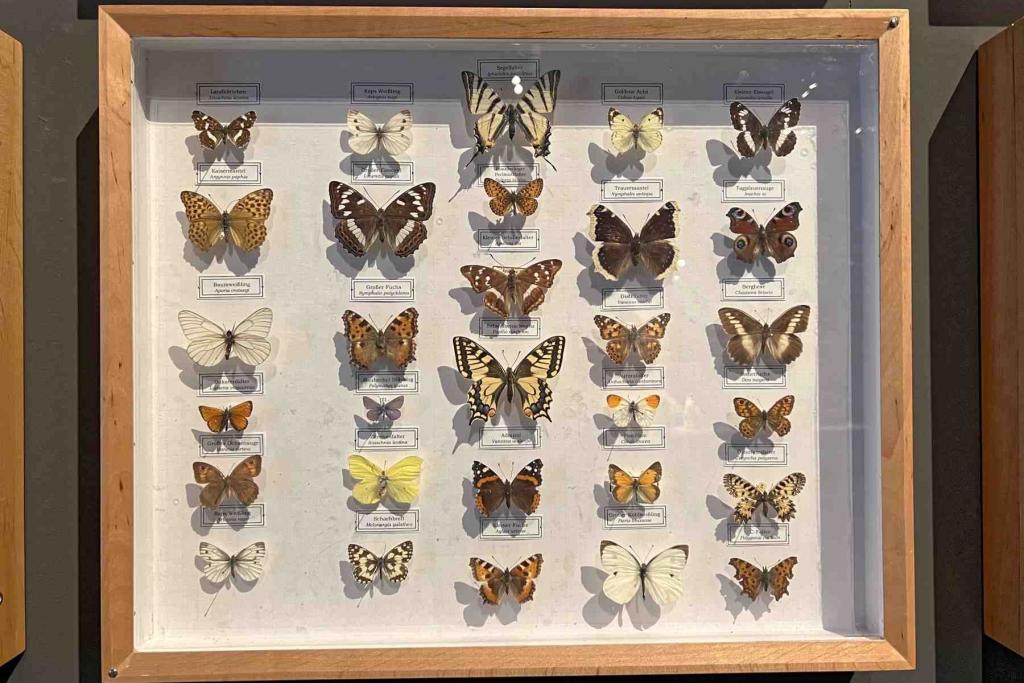 Münster LWL Naturkundemuseum