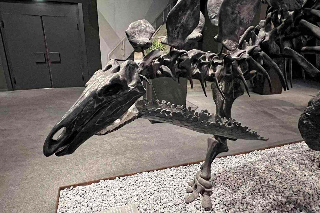 Münster LWL Naturkundemuseum
