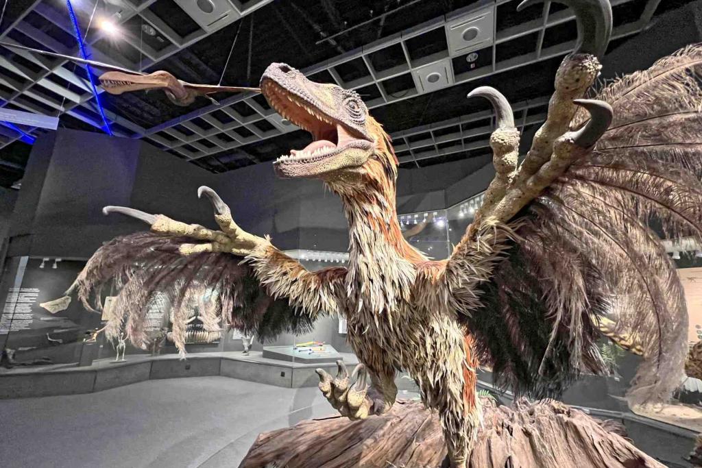 Münster LWL Naturkundemuseum