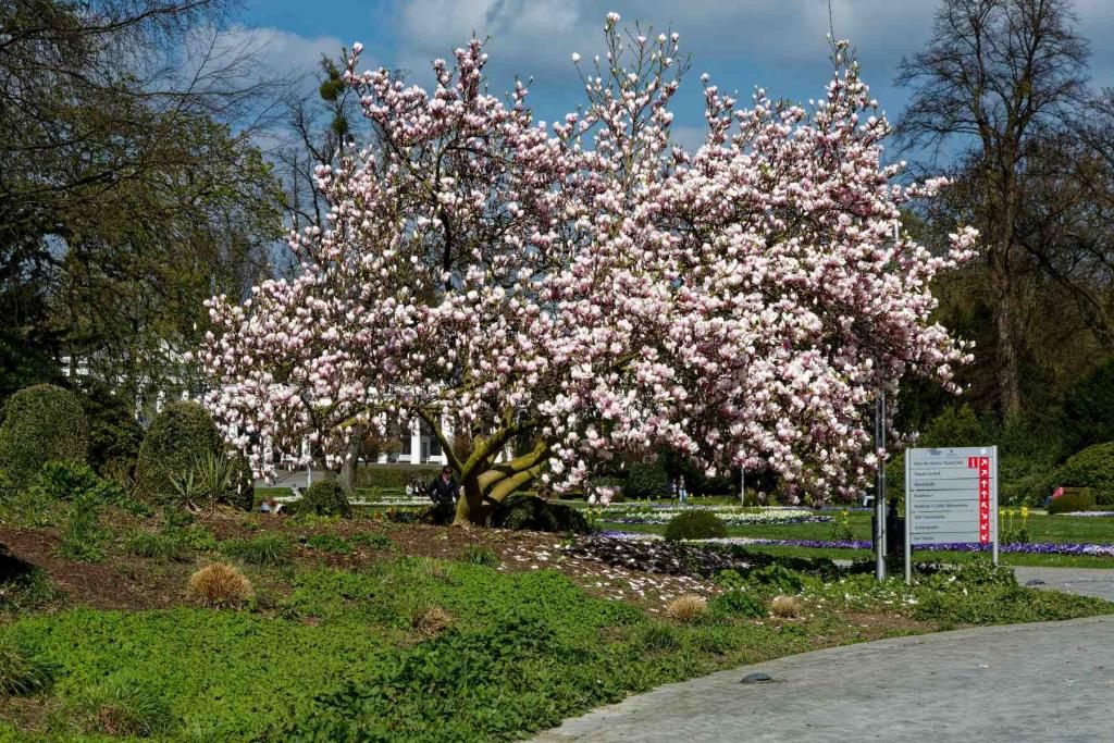 Bad Oeynhausen Kurpark