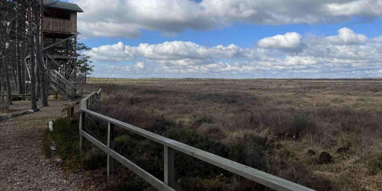Aussichtsturm Bissendorfer Moor
