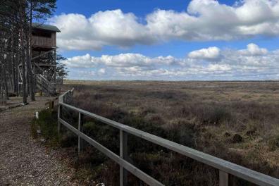 Aussichtsturm Bissendorfer Moor