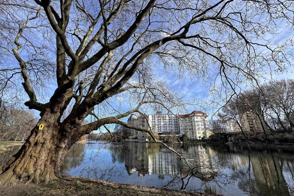 Berlin Charlottenburg Lietzenseepark