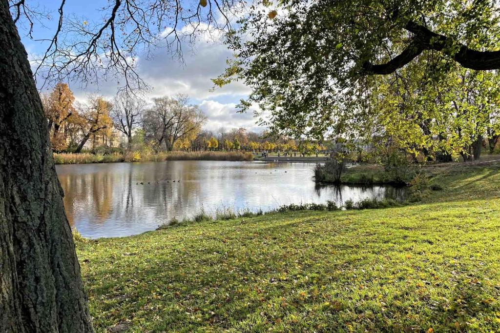Schloss Charlottenburg Karpfenteich