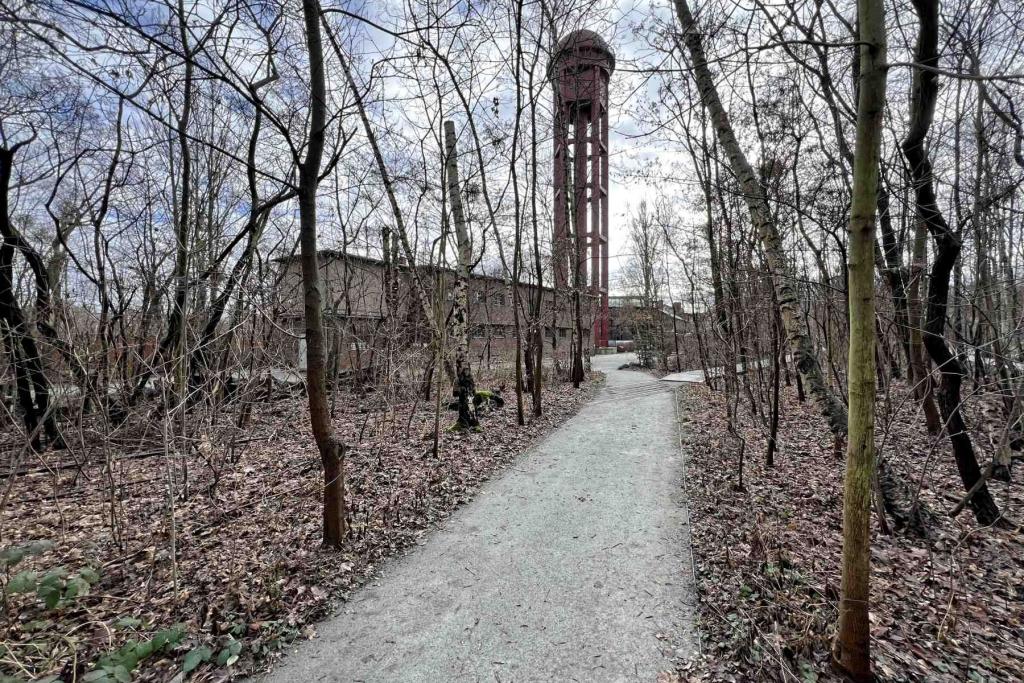 Berlin Natur Park Südgelände Wasserturm