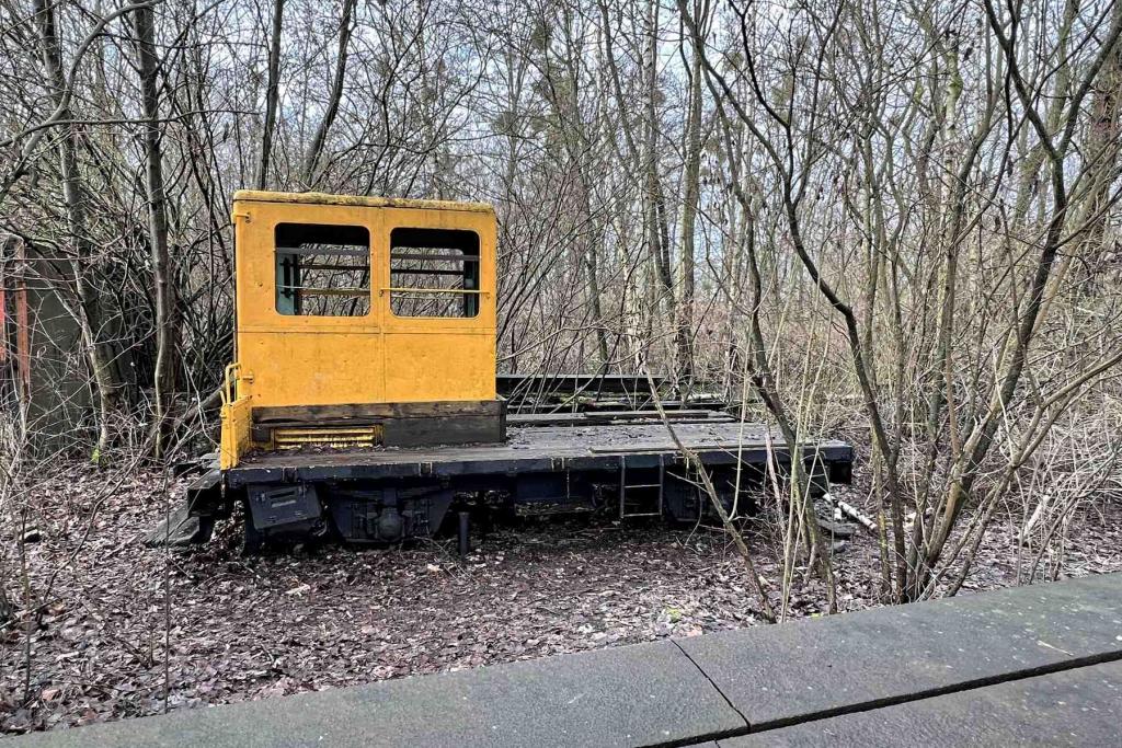 Berlin Natur Park Südgelände Rottenwagen