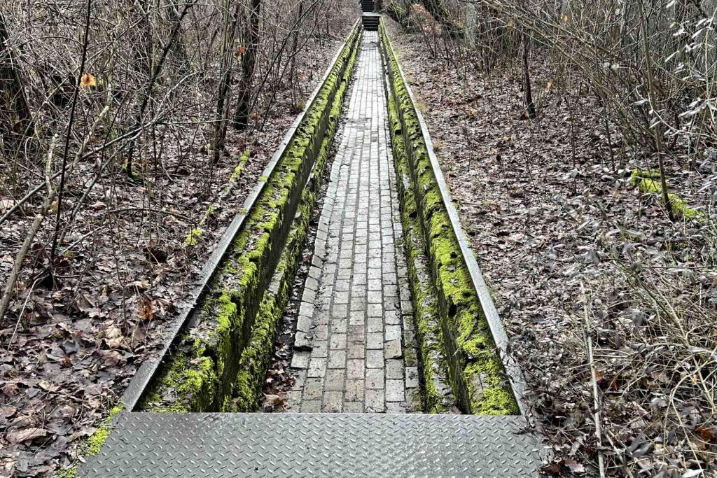 Berlin Natur Park Südgelände Arbeitskuhle