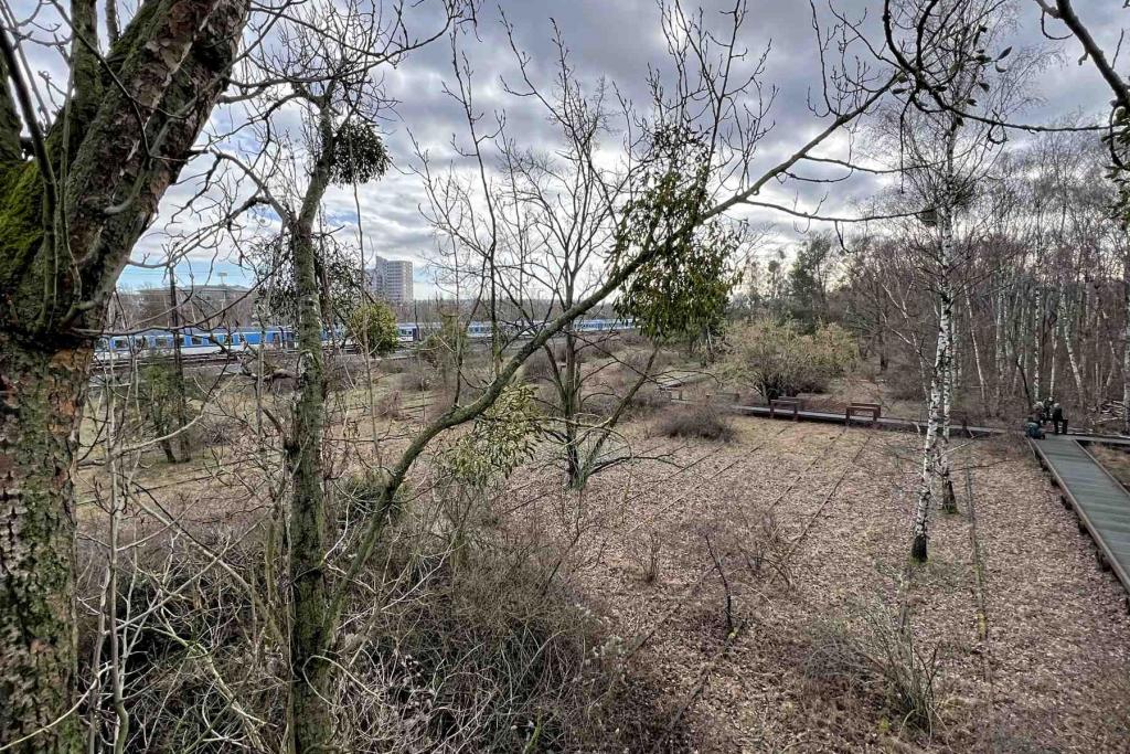 Berlin Natur Park Südgelände Ausblick Baumhaus