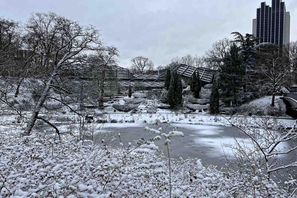 Hamburg Botanischer Garten