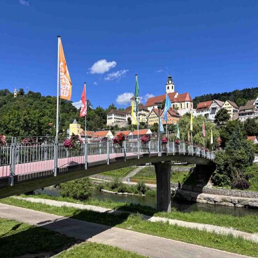 Horb am Neckar