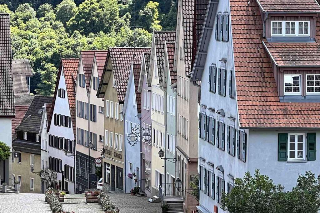 Horb am Neckar
