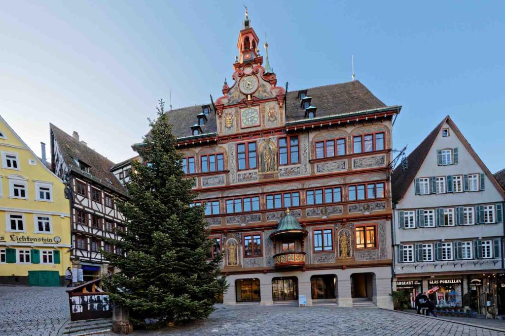 Rathaus Tübingen