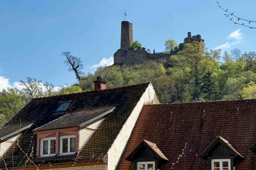 Weinheim Blick zur Ruine Windeck
