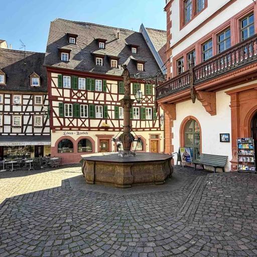 Weinheim Löwenapotheke Marktbrunnen
