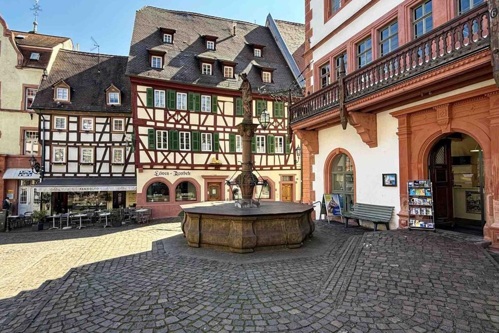 Weinheim Löwenapotheke Marktbrunnen