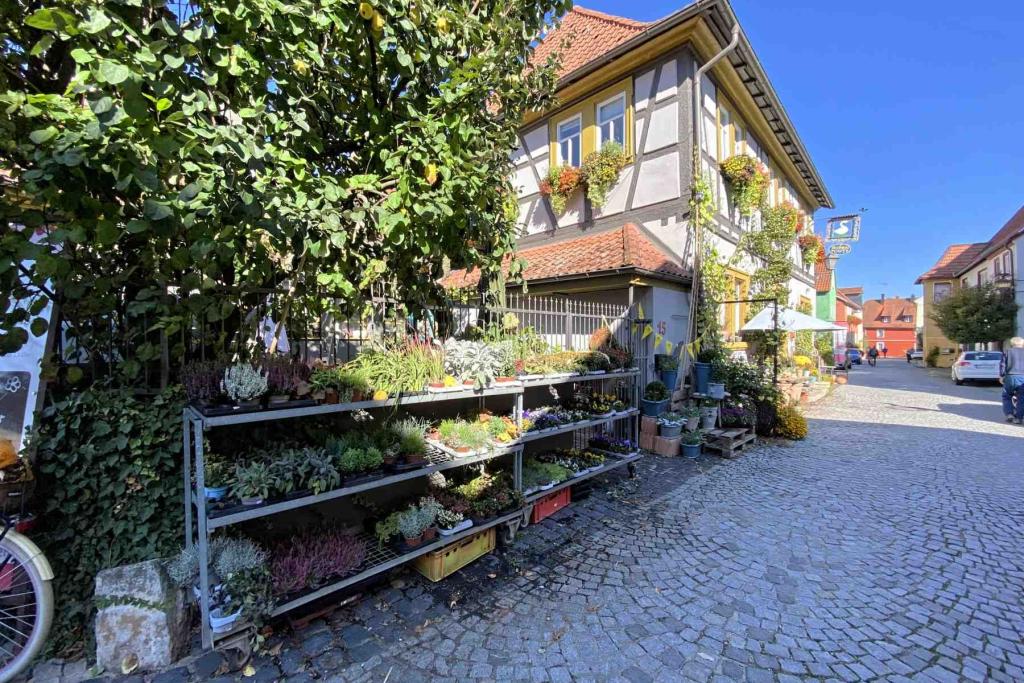 Iphofen Ludwigstraße