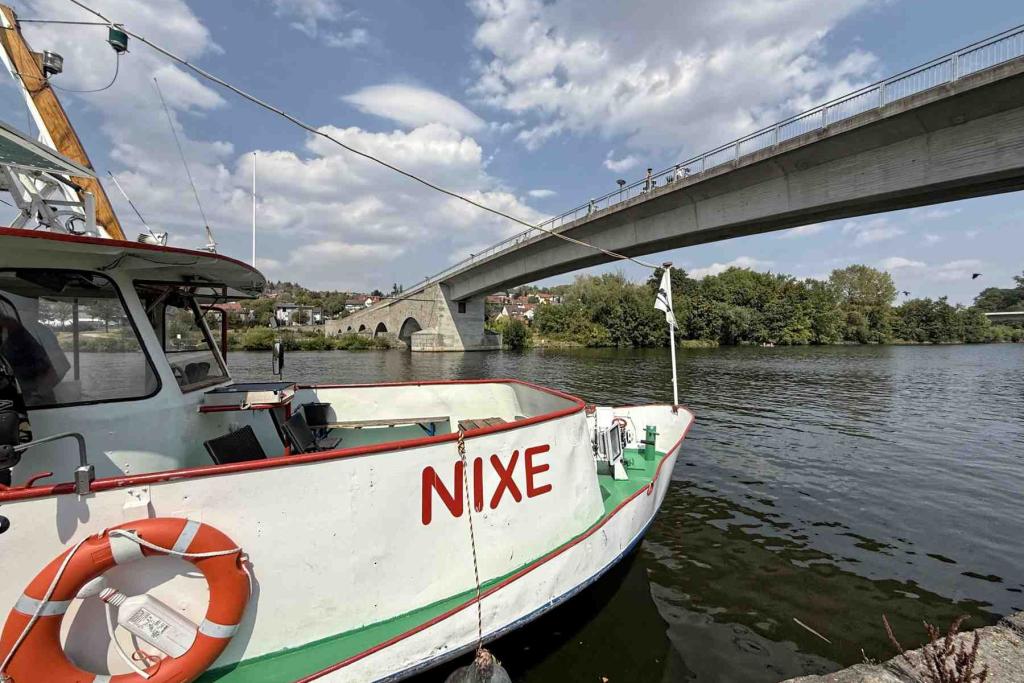 Ochsenfurt Nixe Alte Mainbrücke