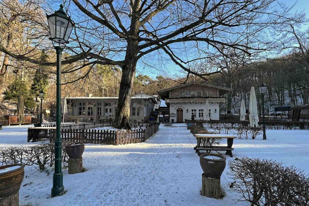 Berlin Wannsee Moorlake