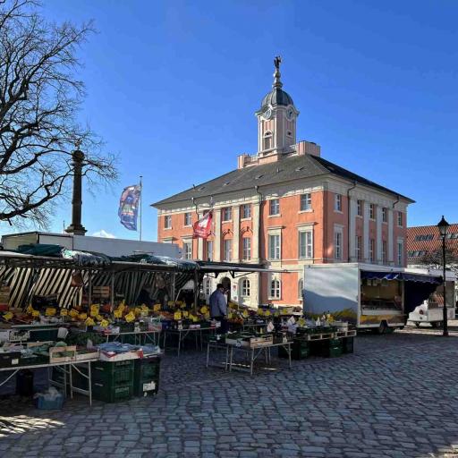 Templin Rathaus Markttag