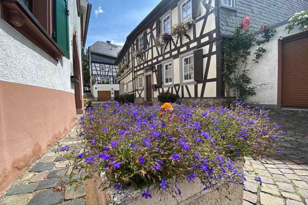 Eltville am Rhein