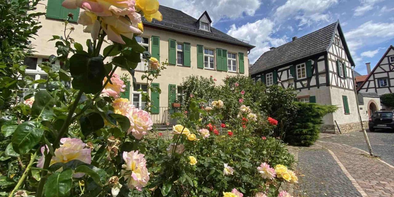 Eltville am Rhein