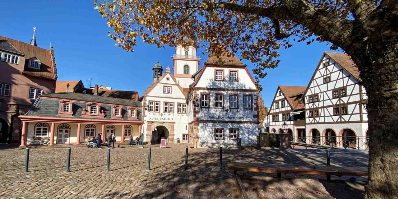 Erbach Altes Rathaus