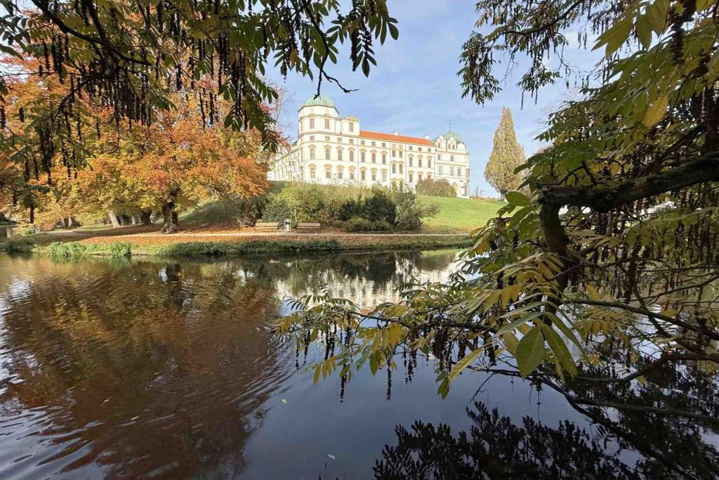 Schloss Celle Herbst