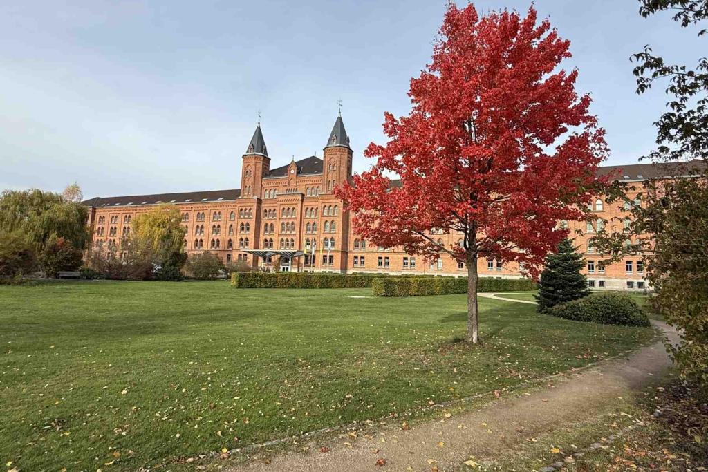 Neues Rathaus Celle Herbst