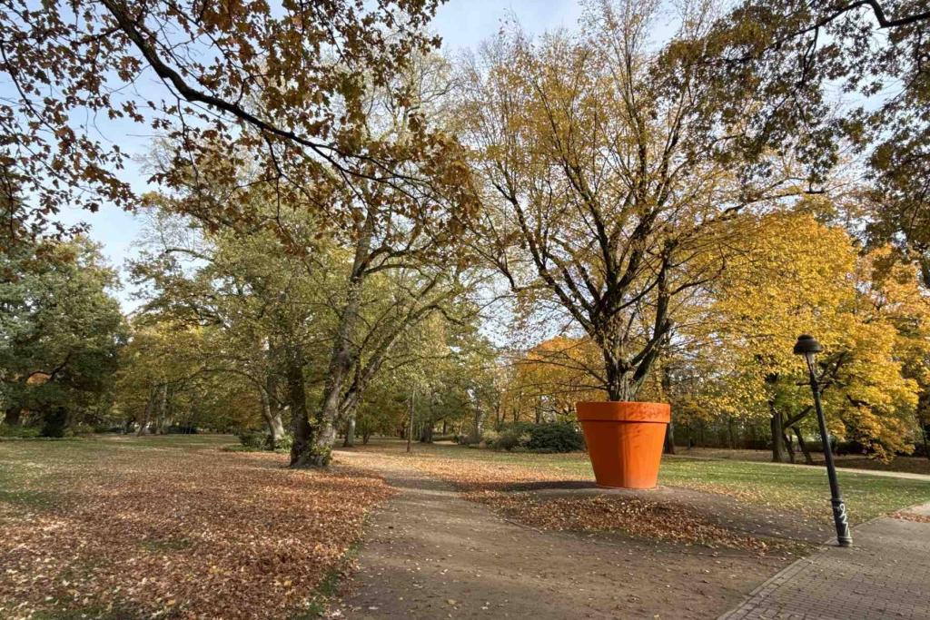 Französischer Garten Celle Herbst