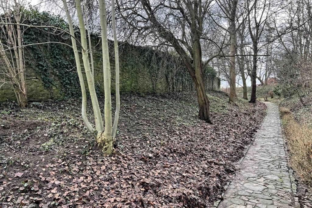 IMG_6950 Schöningen Stadtmauer