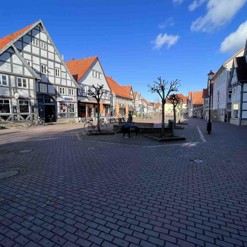 Springe Markt