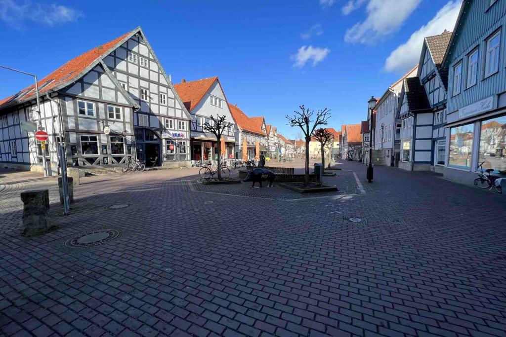 Springe Markt