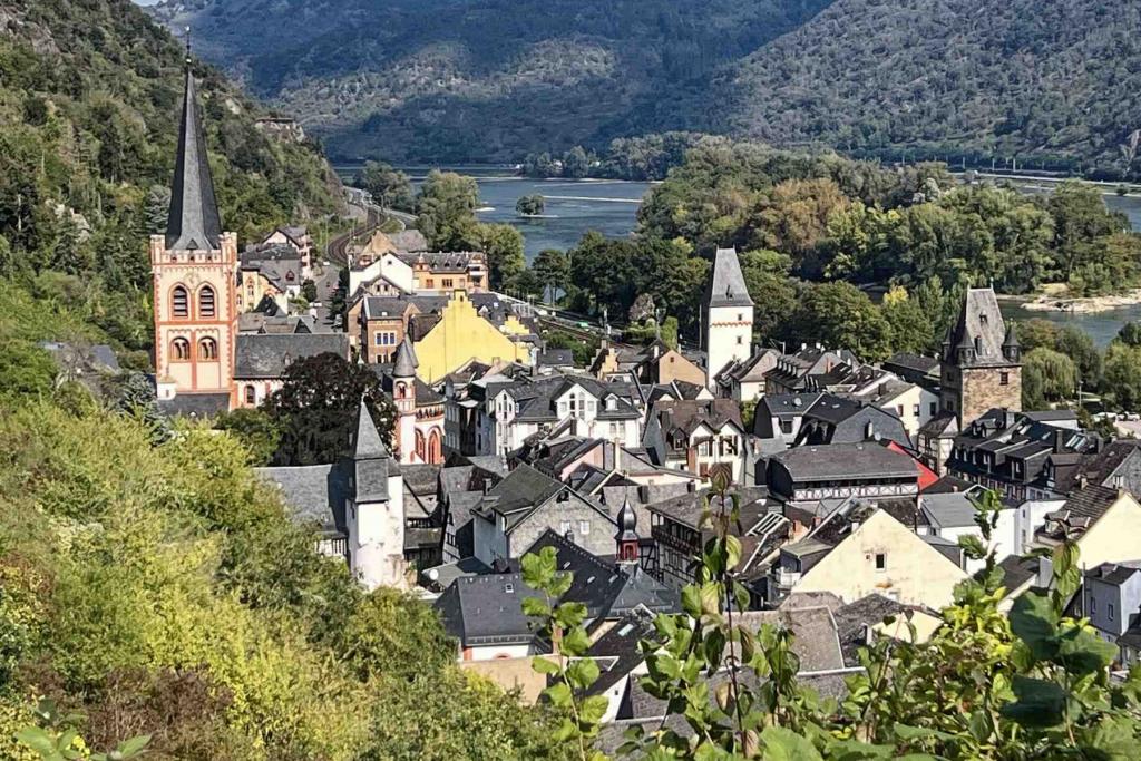 Bacharach Panorama