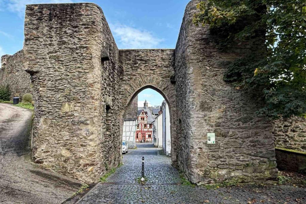 Rhens Viehtor