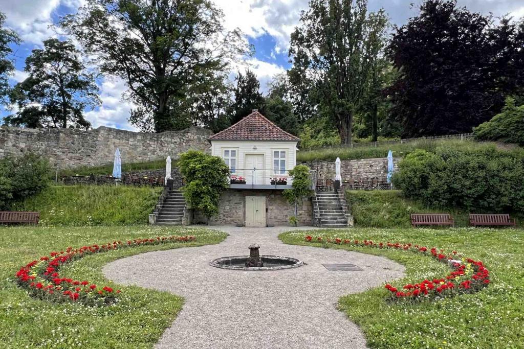 IMG_3298 Blankenburg Harz