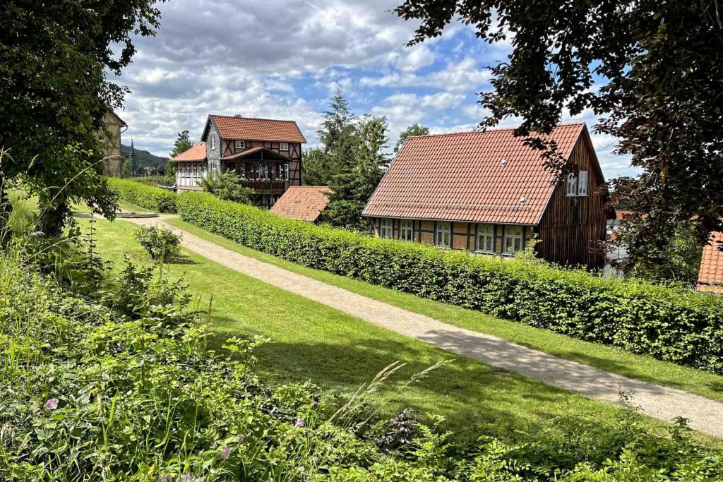 IMG_3301 Blankenburg Harz