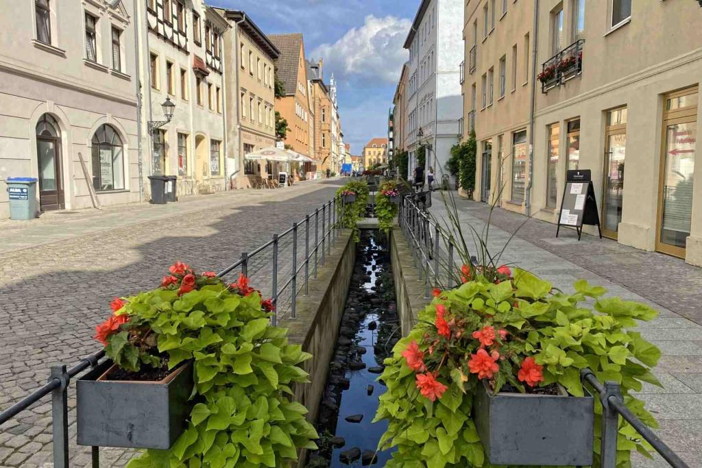 Lutherstadt Wittenberg Coswiger Straße