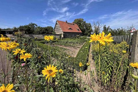 Querfurt Alte Burgschäferei