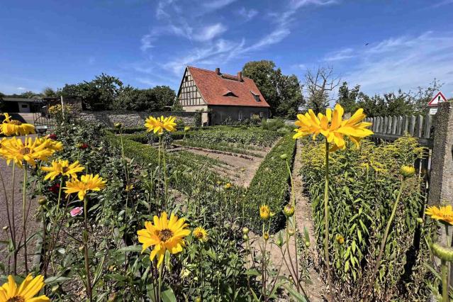 Querfurt Alte Burgschäferei