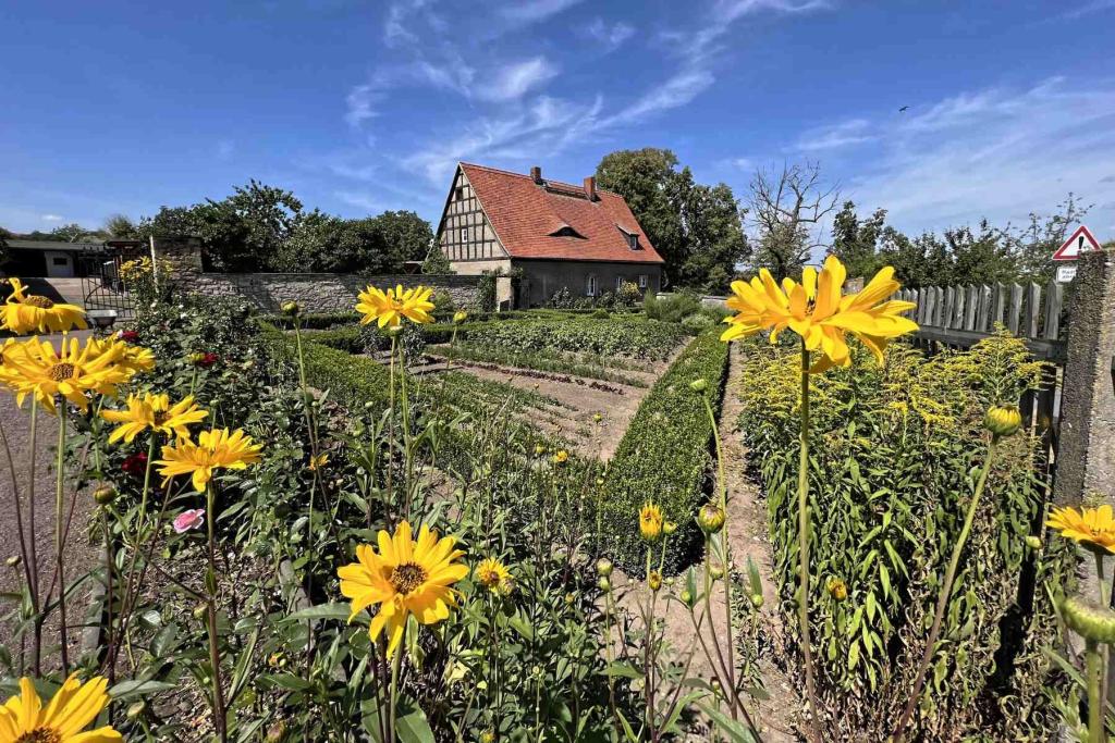 Querfurt Alte Burgschäferei