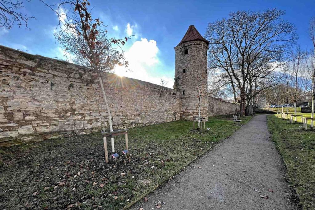Bad Langensalza Mauerturm