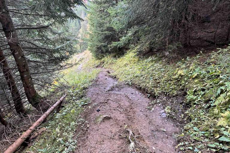 Abstieg Einödsbergalpe Einödsbach