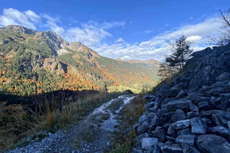 Blick Alpgundkopf Fellhorn