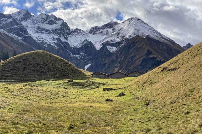 Almwiesen Hintere Einödsbergalpe