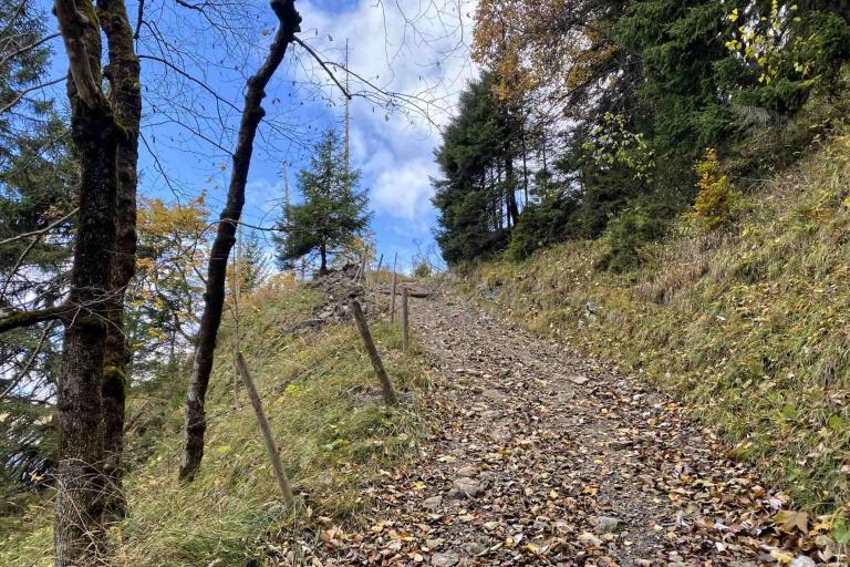 Weg am Hang des Spätengundkopf