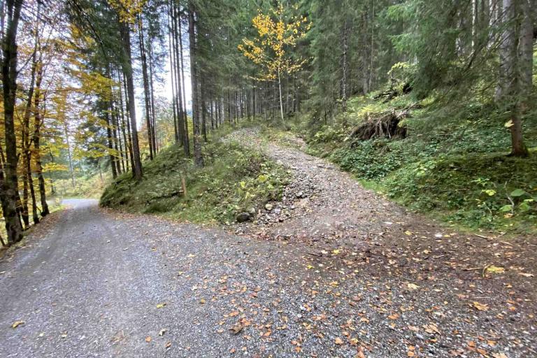 Wanderung Abzweig Hintere Einödsbergalpe